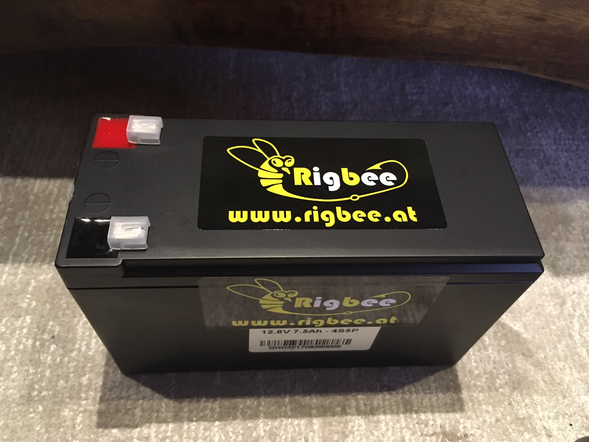 Rigbee MaxBeePower LiFePO4 24V 100Ah Akkublock inkl. Ladegerät 